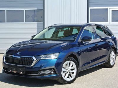 Skoda Octavia Gebrauchtwagen