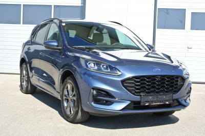 Ford Kuga Gebrauchtwagen Ford Kuga Gebrauchtwagen