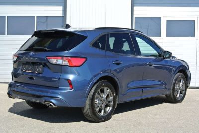 Ford Kuga Gebrauchtwagen Ford Kuga Gebrauchtwagen