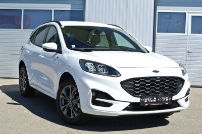 Ford Kuga Gebrauchtwagen Ford Kuga Gebrauchtwagen