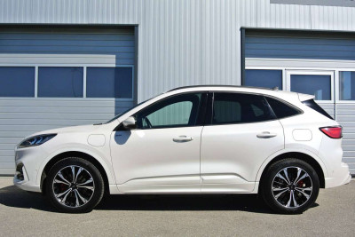 Ford Kuga Gebrauchtwagen