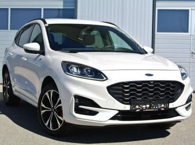 Ford Kuga Gebrauchtwagen