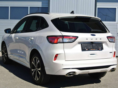 Ford Kuga Gebrauchtwagen