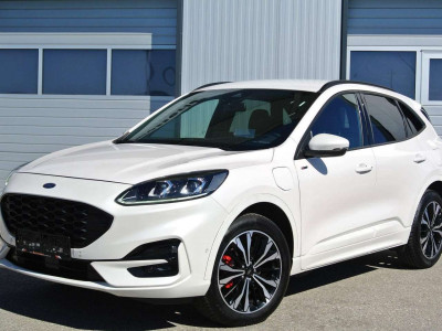 Ford Kuga Gebrauchtwagen