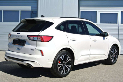 Ford Kuga Gebrauchtwagen