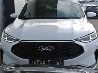 Ford Kuga Gebrauchtwagen Ford Kuga Gebrauchtwagen