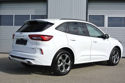 Ford Kuga Gebrauchtwagen Ford Kuga Gebrauchtwagen