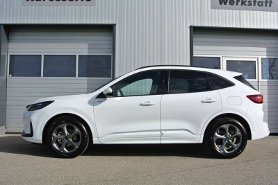 Ford Kuga Gebrauchtwagen Ford Kuga Gebrauchtwagen