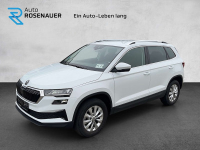 Skoda Karoq Gebrauchtwagen