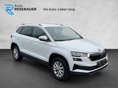 Skoda Karoq Gebrauchtwagen