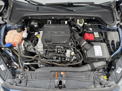 Ford Focus Gebrauchtwagen Ford Focus Gebrauchtwagen