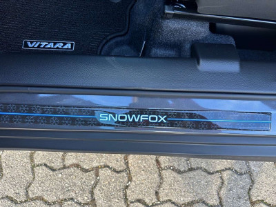 Suzuki Vitara Gebrauchtwagen Suzuki Vitara Gebrauchtwagen