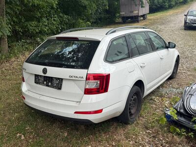 Skoda Octavia Gebrauchtwagen