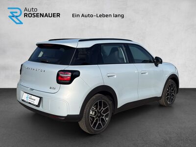 Leapmotor B03X Vorführwagen Leapmotor B03X Vorführwagen