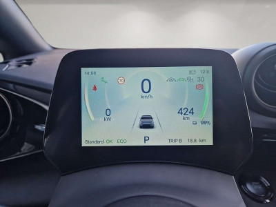 BYD Dolphin Neuwagen