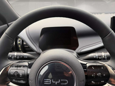 BYD Atto 3 Vorführwagen