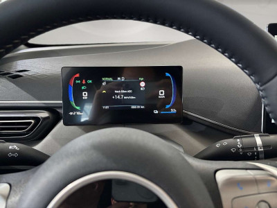 BYD Dolphin Neuwagen