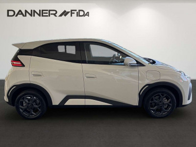 BYD Dolphin Neuwagen