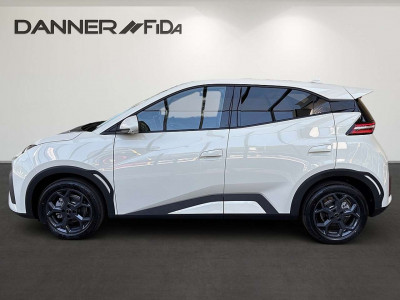 BYD Dolphin Neuwagen