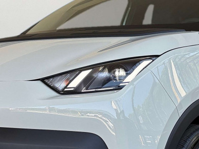 BYD Dolphin Neuwagen