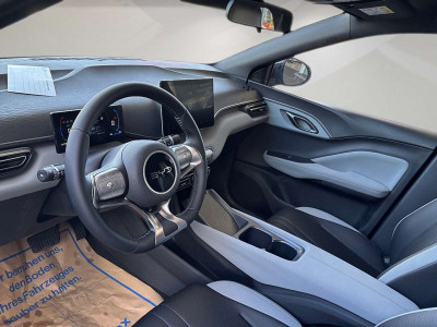 BYD Dolphin Neuwagen