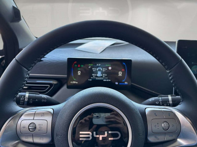 BYD Dolphin Neuwagen