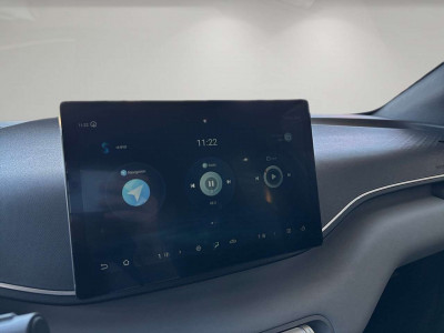 BYD Dolphin Neuwagen