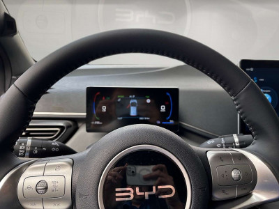 BYD Dolphin Vorführwagen