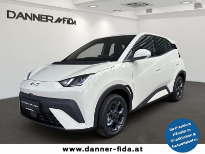 BYD Dolphin Neuwagen