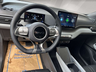 BYD Dolphin Neuwagen