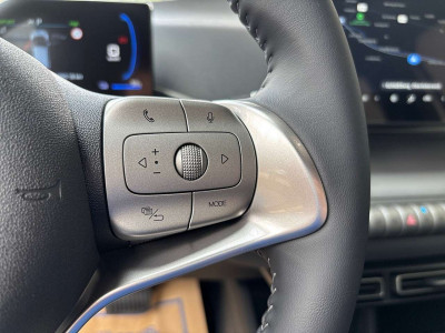 BYD Dolphin Neuwagen