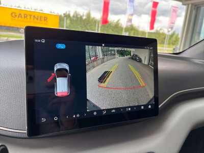 BYD Dolphin Neuwagen