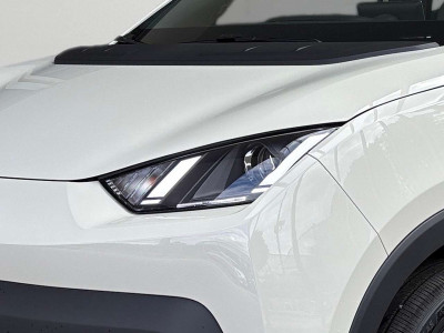 BYD Dolphin Neuwagen