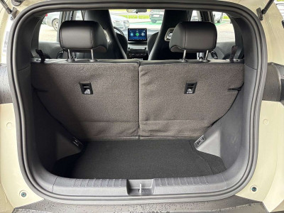 BYD Dolphin Neuwagen