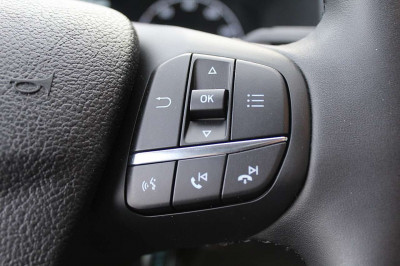 Ford Transit Neuwagen