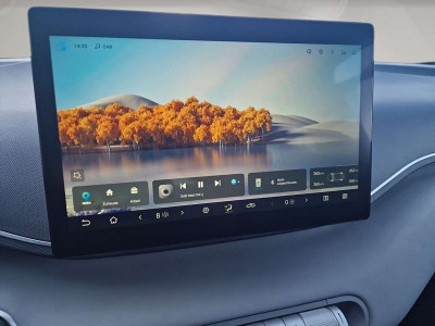 BYD Dolphin Surf Neuwagen