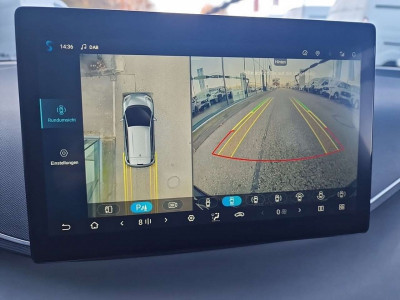 BYD Dolphin Surf Neuwagen