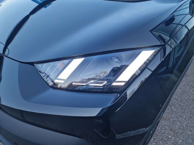 BYD Dolphin Surf Neuwagen