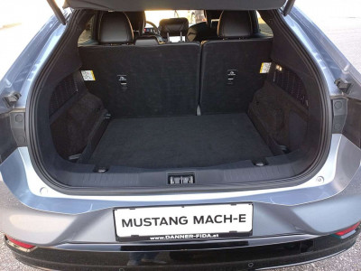 Ford Mustang Mach-E Gebrauchtwagen