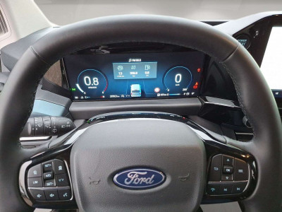 Ford Tourneo Custom Gebrauchtwagen