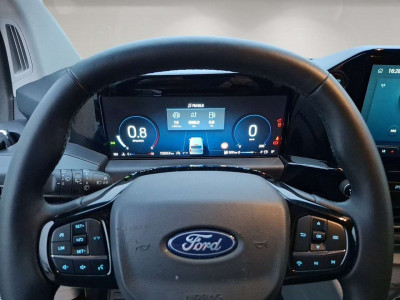 Ford Tourneo Custom Gebrauchtwagen