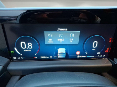 Ford Tourneo Custom Gebrauchtwagen