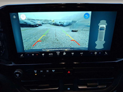 Ford Tourneo Custom Gebrauchtwagen