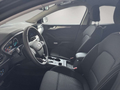 Ford Focus Tageszulassung