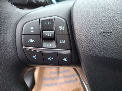 Ford Focus Tageszulassung