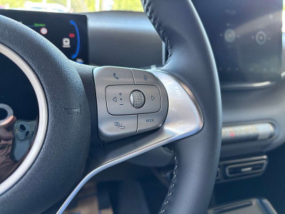 BYD Dolphin Surf Neuwagen