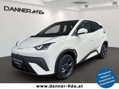 BYD Dolphin Surf Vorführwagen