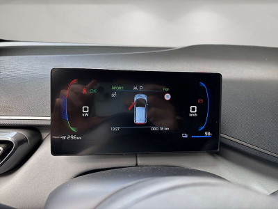 BYD Dolphin Surf Vorführwagen