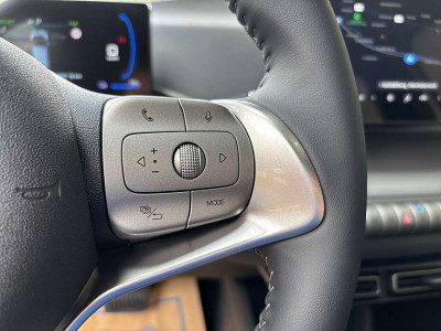 BYD Dolphin Surf Vorführwagen