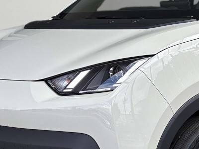 BYD Dolphin Surf Vorführwagen